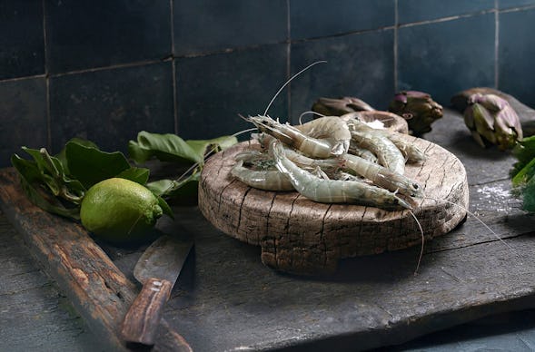 Garnelen Verkostung Glückstadt