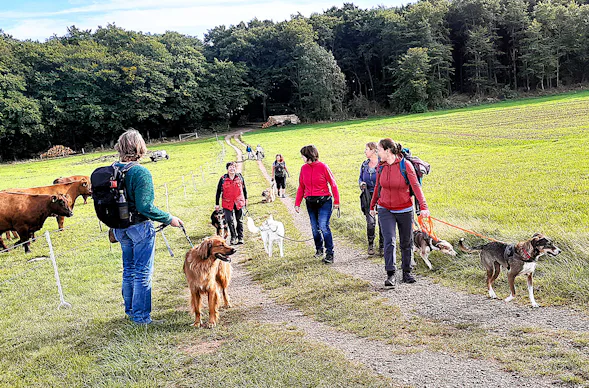 Geführte Wanderungen mit Hund