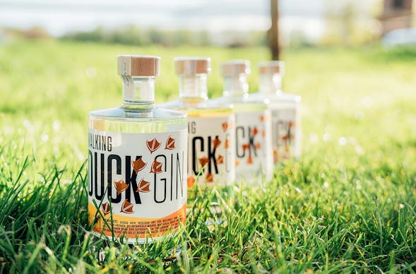 Gin Brennkurs mit 5-Gänge-Menü Guldental