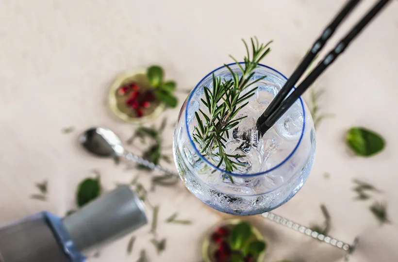 Gin Tasting München