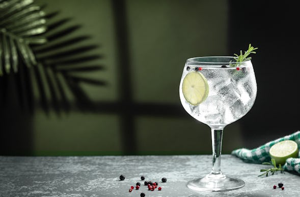 Gin Tasting Düsseldorf (8 Premium Gins)