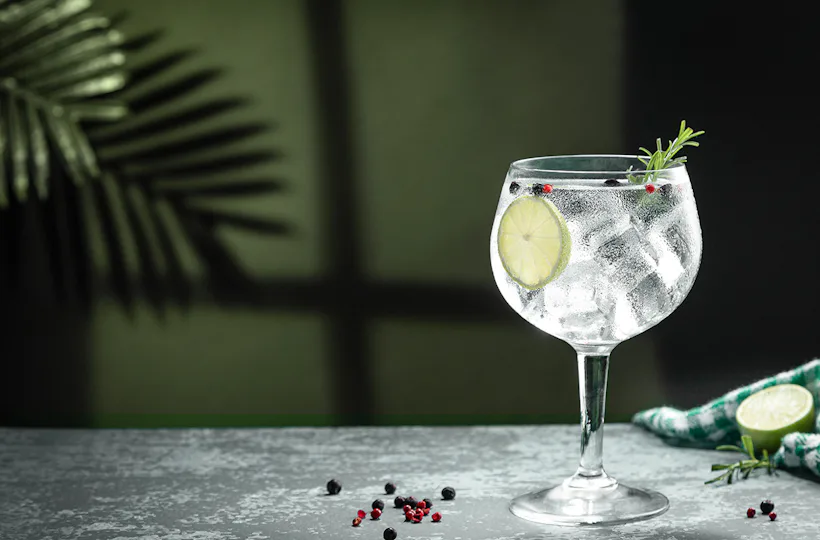 Gin Tasting Düsseldorf (8 Premium Gins)