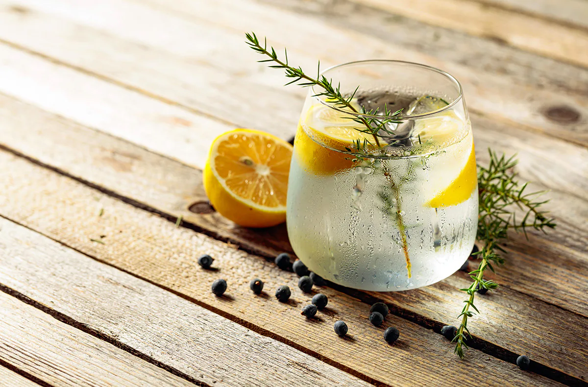 Gin Verkostung Stuttgart für 2 - 5