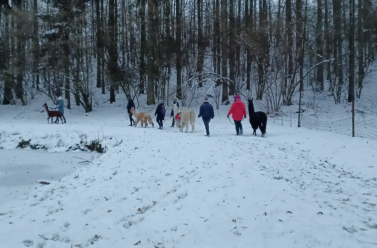 Glühweinwanderung Schönau-Berzdorf für 2 - 5