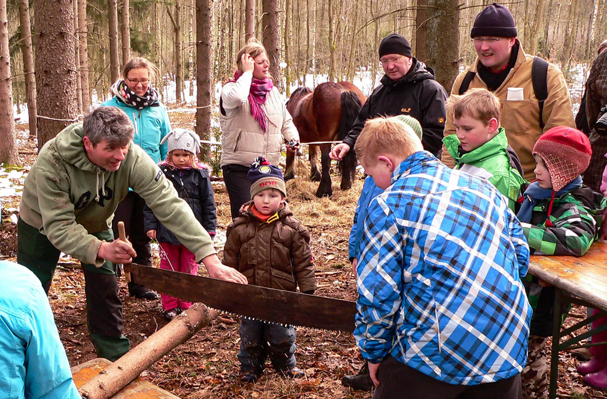 Holzrücken mit Pferden Windeck - 3