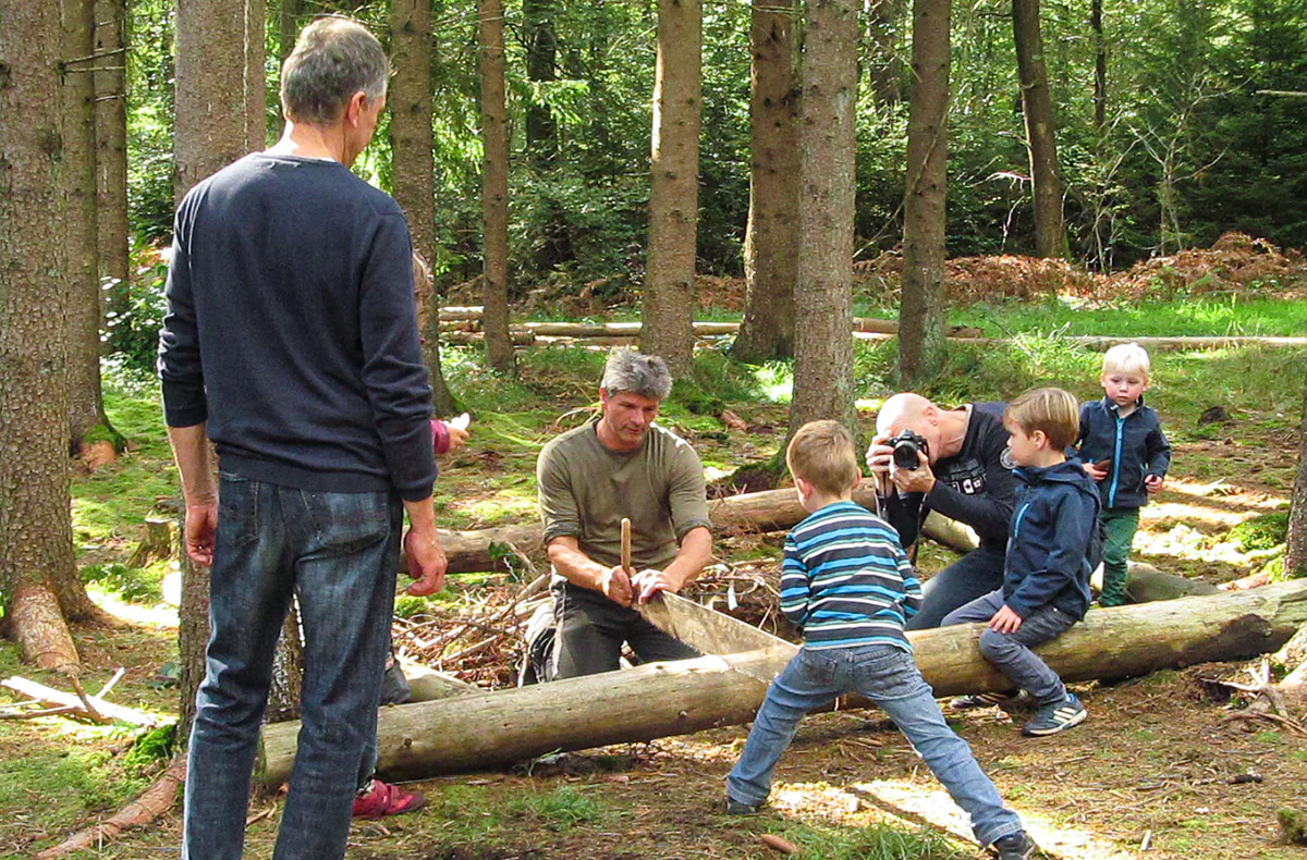 Holzrücken mit Pferden Windeck - 4