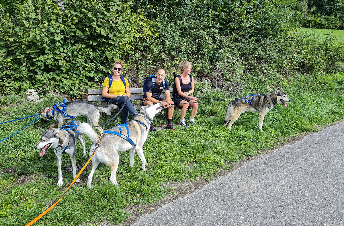 Husky Tagesausflug Bettmaringen - 4