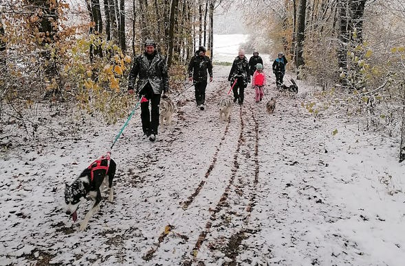 Husky Trekking Neumarkt in der Oberpfalz