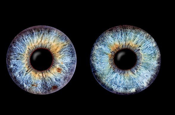 Iris Fotografie für 2 Haßfurt