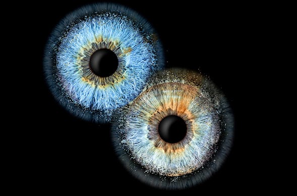 Iris Fotografie Fusion für 2 Haßfurt