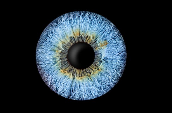 Iris Fotografie Haßfurt