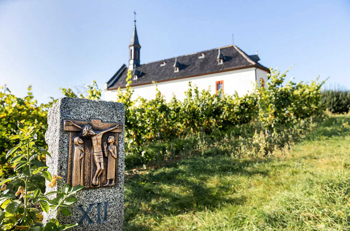 Wildkräuterwanderung durch die Weinberge Worms - 4