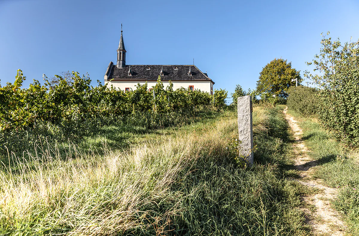 Kulinarische Weinbergwanderung in Worms - 4