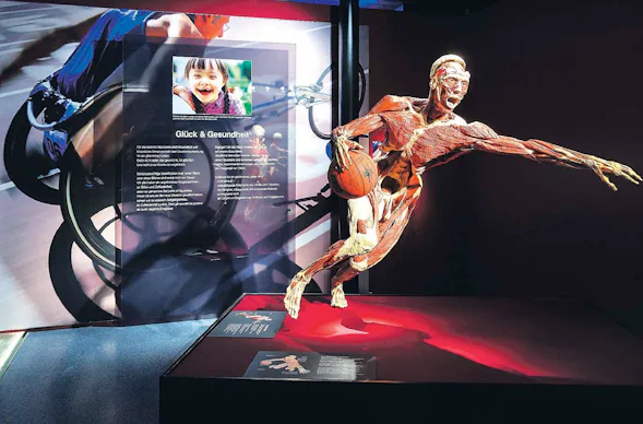 Kurzurlaub Bad Schönborn für 2 (1 Nacht) inkl. Körperwelten Heidelberg