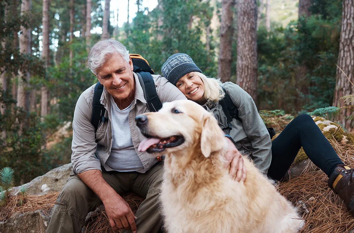 Urlaub mit Hund im Harz für 2 (2 Nächte) - 1