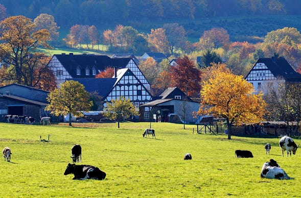 Kurzurlaub im Sauerland für 2 (2 Nächte)