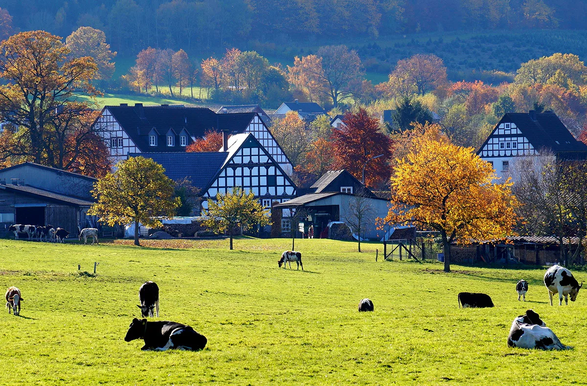 Kurzurlaub im Sauerland für 2 (2 Nächte) - 1