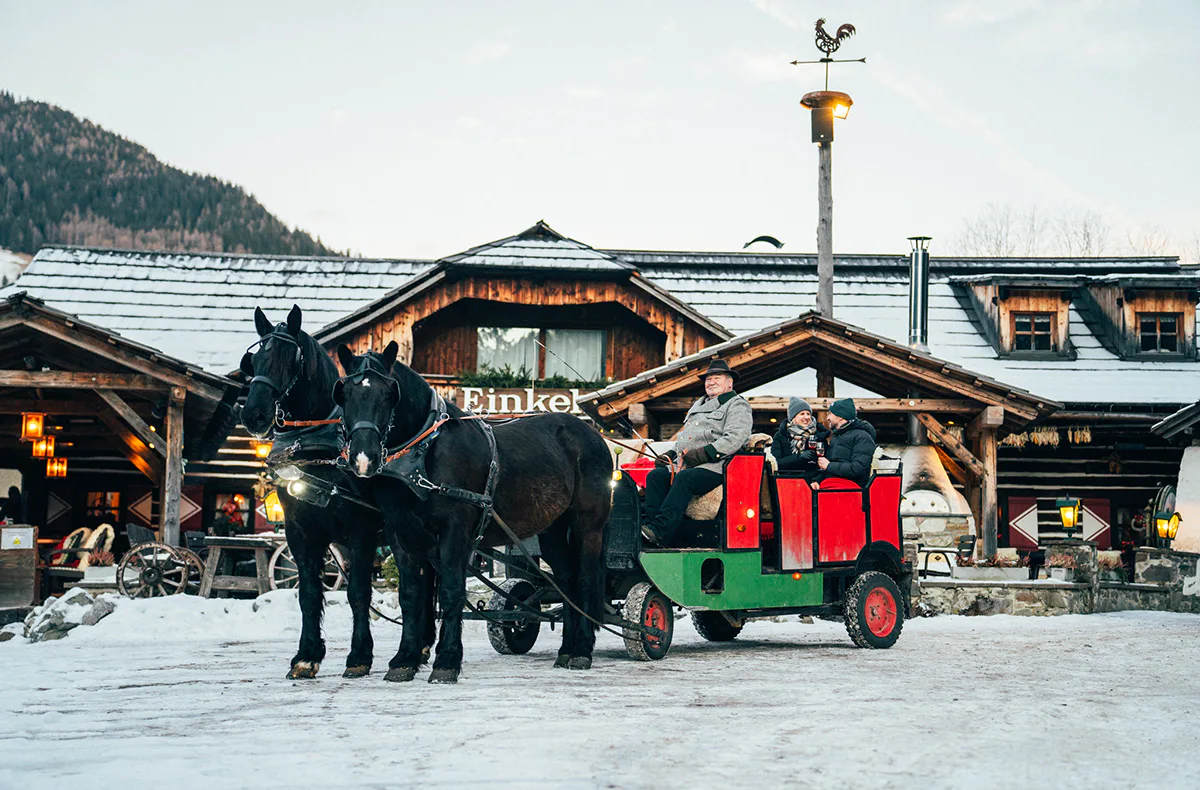Romantische Pferdekutschenfahrt Bad Kleinkirchheim für 2 - 1