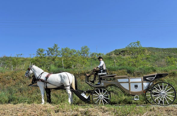Kutschfahrt Krems an der Donau