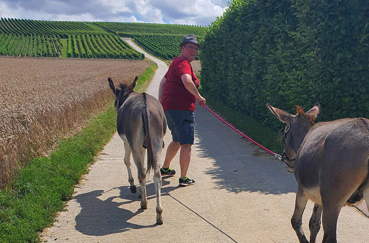 Lama- & Esel-Trekking-Tour Stadecken-Elsheim - 4