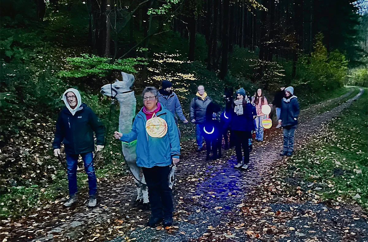 Laternenwanderung mit Alpakas für 2 Neckargerach - 3