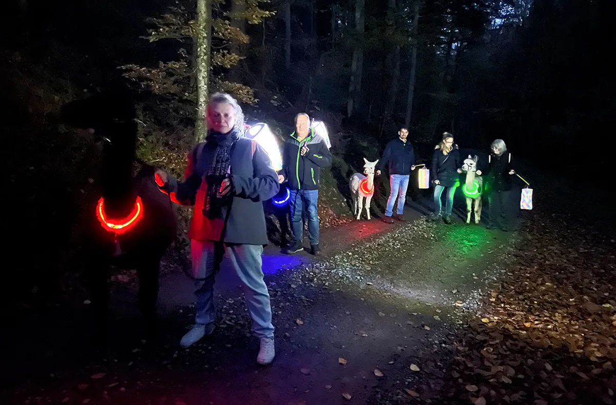Laternenwanderung mit Alpakas für 2 Neckargerach - 4