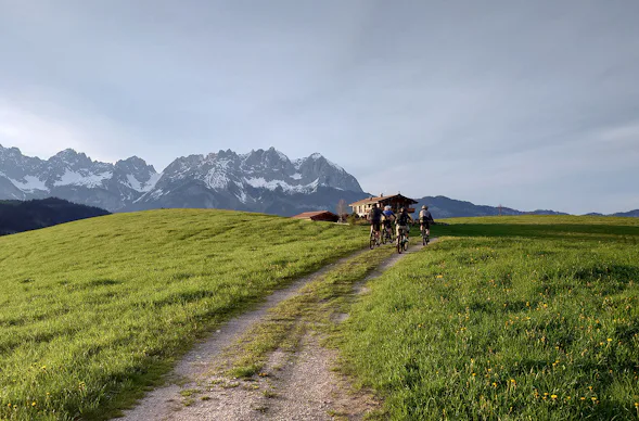 Mountainbike Tour (7-9 Std.)