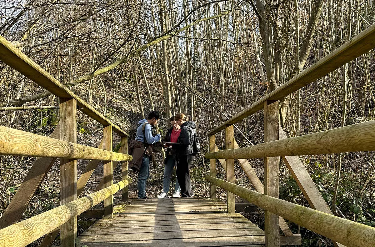 Outdoor Escape Gruppe - Fortgeschritten "Fluch des Sonnenkönigs" Sternenfels - 1