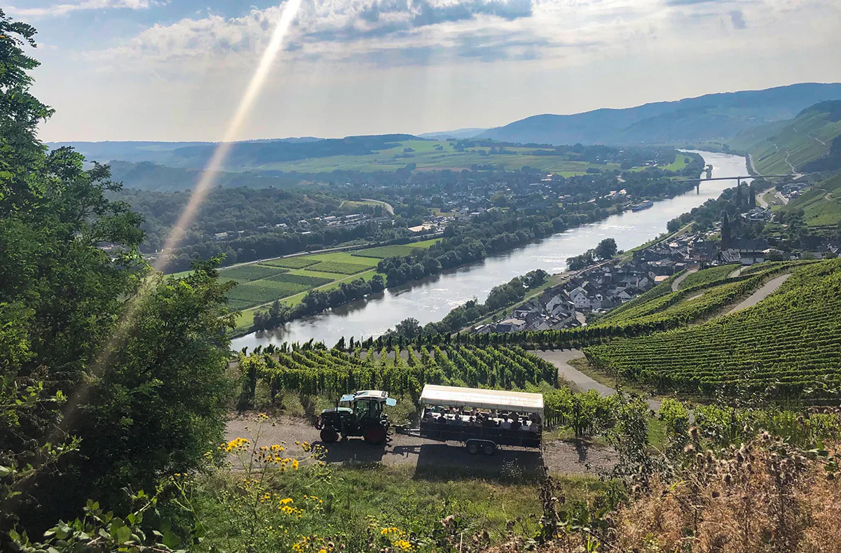Planwagenfahrt mit Weinprobe Lieser - 1