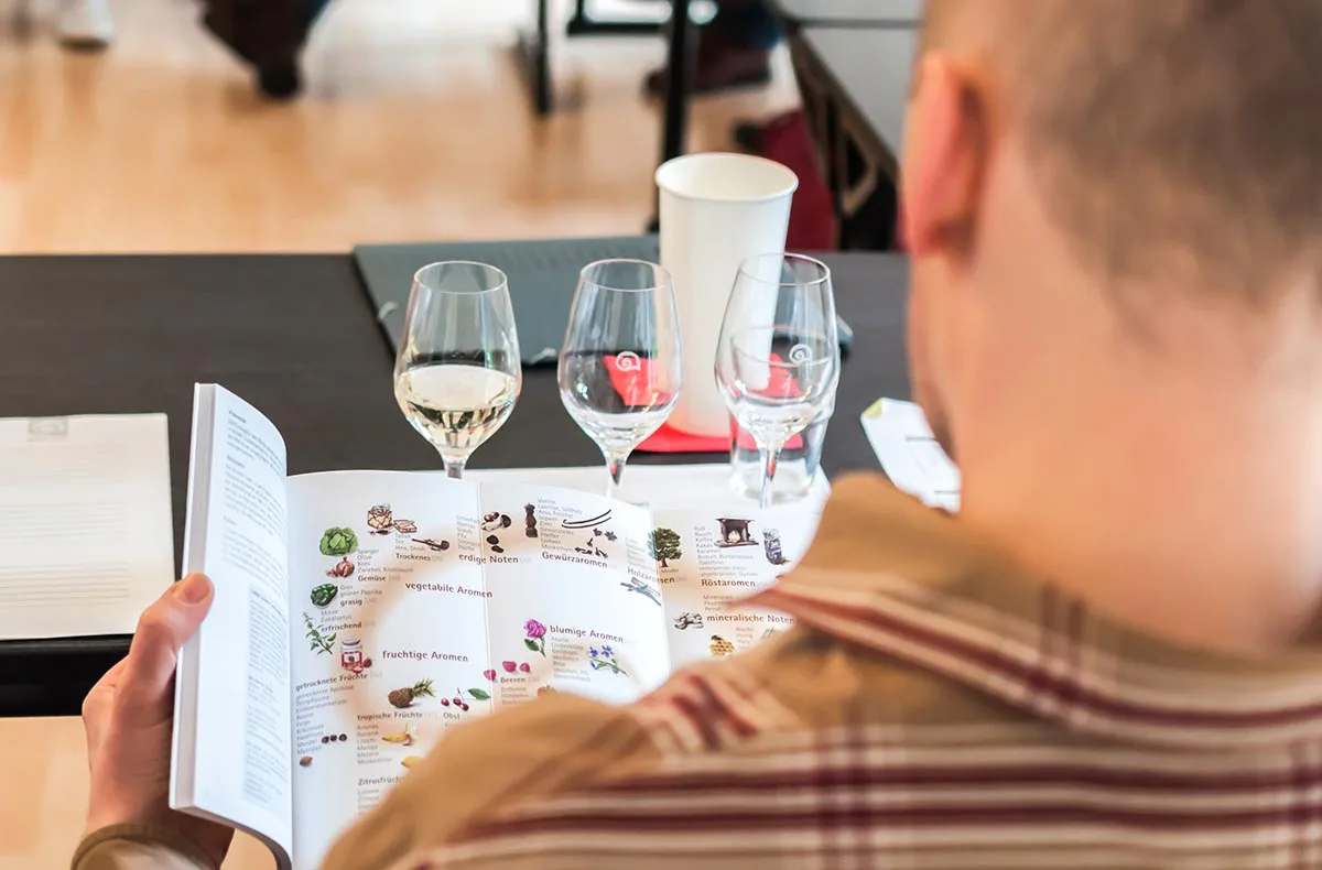 Rebsortenkurs mit Degustation für 2 Regensburg - 2