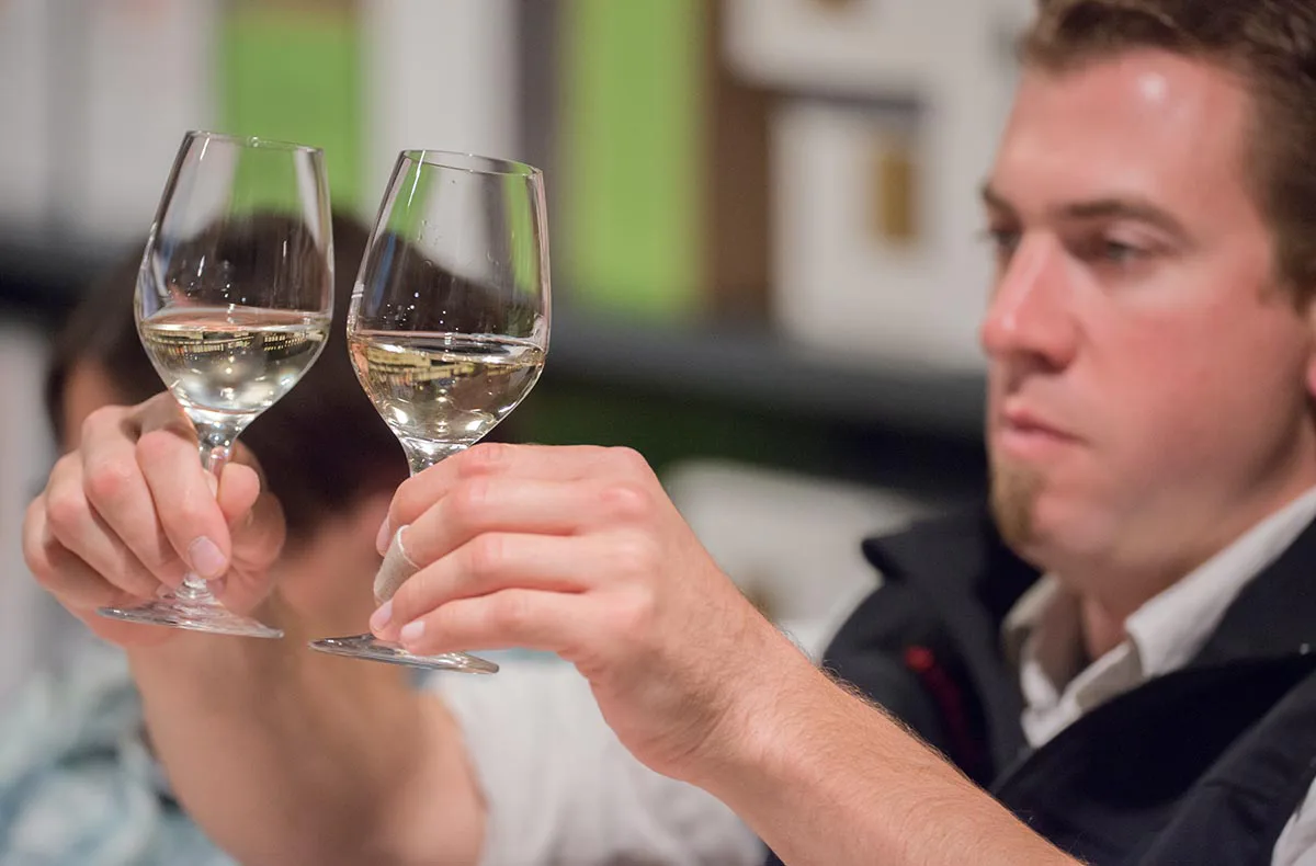 Rebsortenkurs mit Degustation für 2 Regensburg - 7