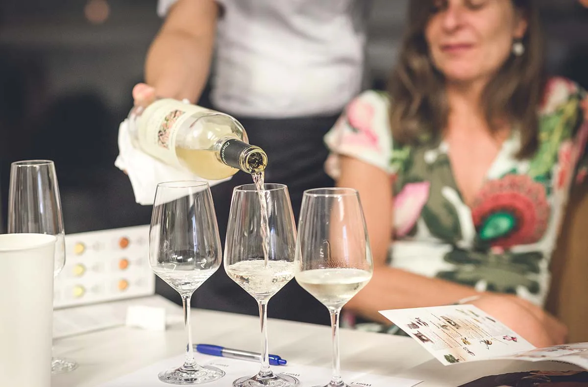 Rebsortenkurs mit Degustation für 2 Solothurn - 1