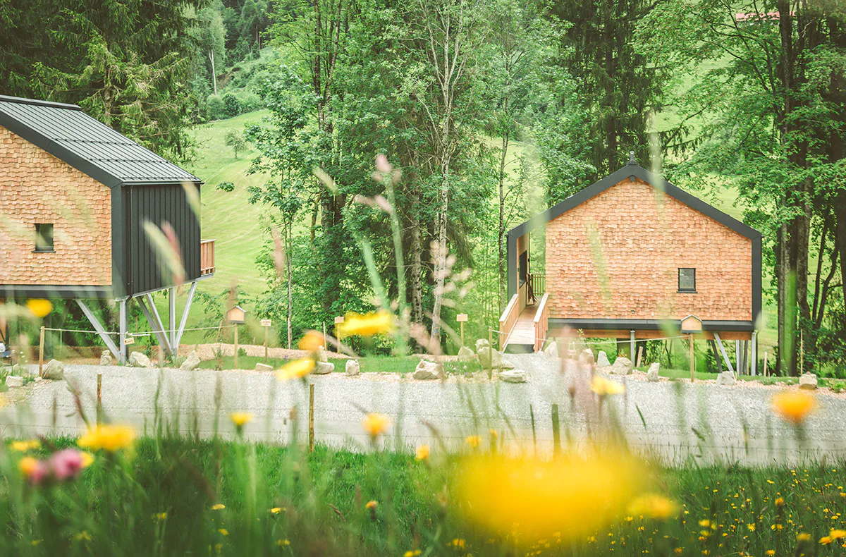 Romantikurlaub im Baumhaus Chalet für 2 (1 Nacht) - 10