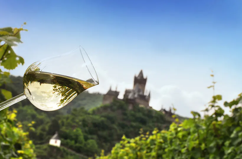 Weinausflug und Schifffahrt auf der Mosel Bernkastel
