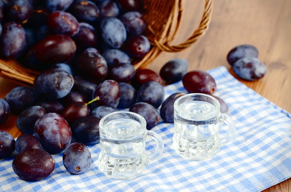 Schnapsbrenn Seminar Sulzemoos