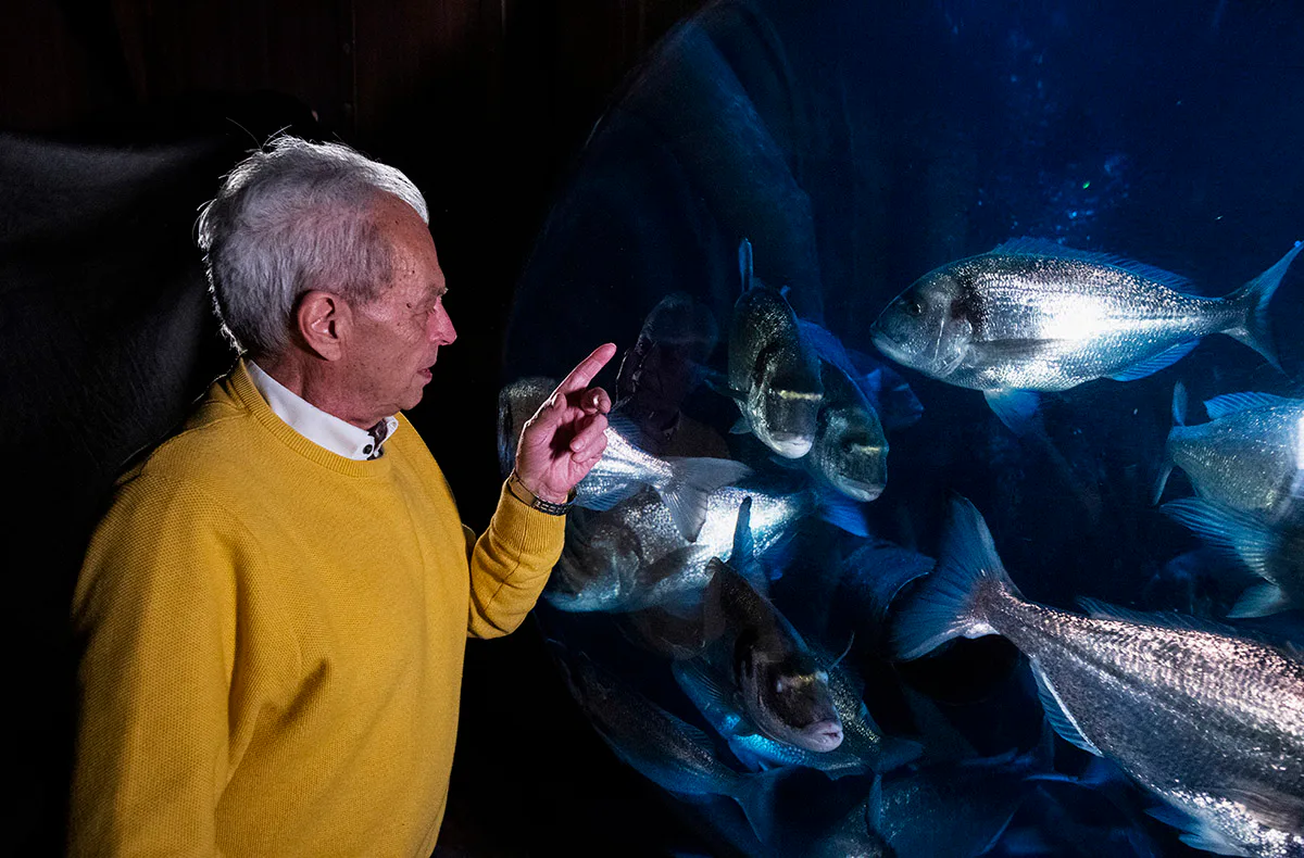 Sea Life Speyer (1 EW + 1 Kleinkind) - 3
