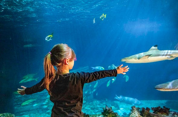 Sea Life München (Kinder-Ticket)