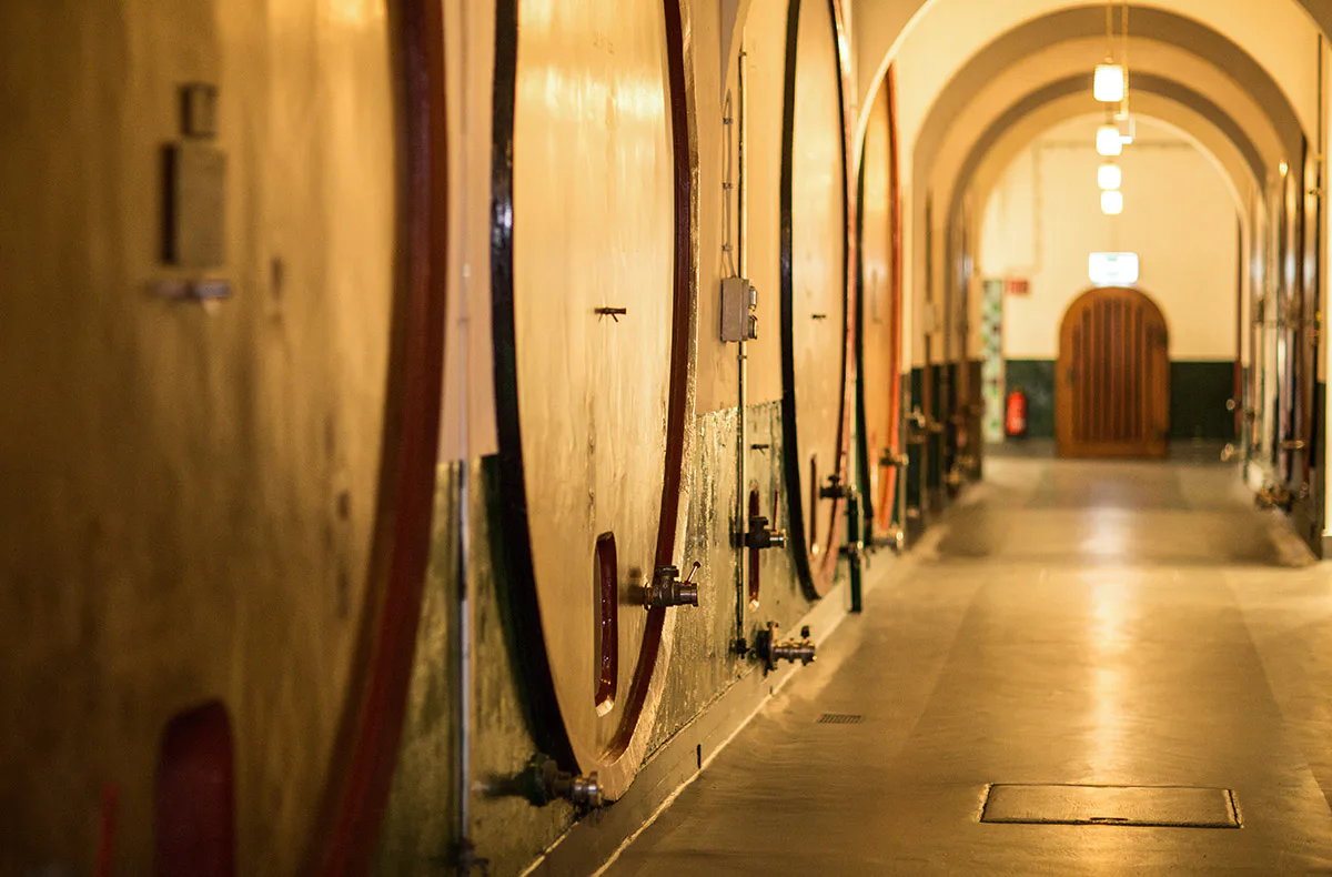 Henkell Freixenet Sektverkostung Wiesbaden - 5