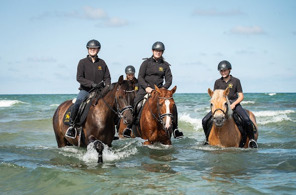 Strandritt Ostsee mit Probestunde Hirschburg (Mai - Sept.)
