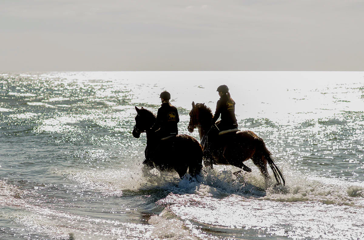 Strandritt Ostsee mit Probestunde Hirschburg (Mai - Sept.) - 2