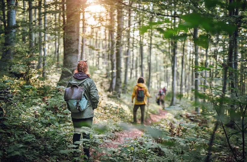 Survival-Intensivkurs Ferdinandshof (3 Tage)