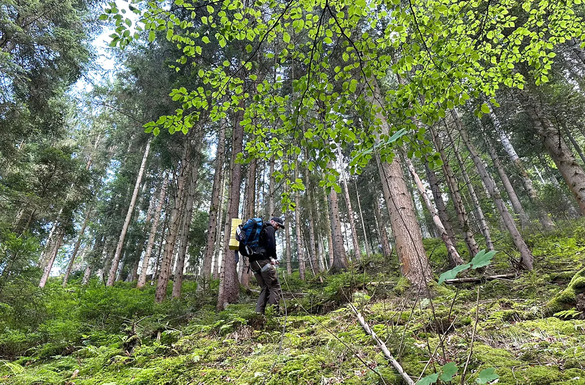 Survival Training Schramberg (1 Tag) - 4