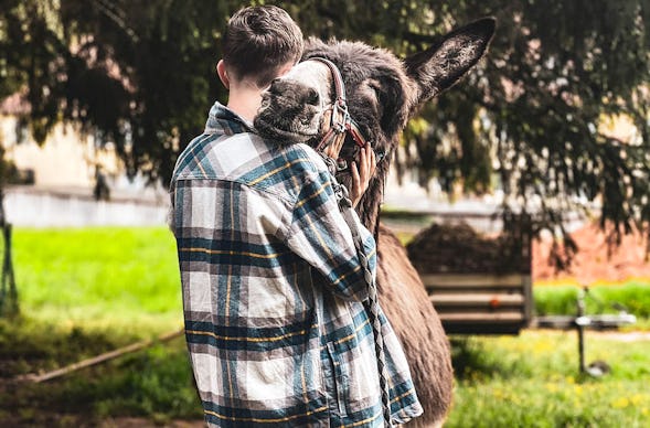 Tagestour mit Eseln Eppenbrunn für 2