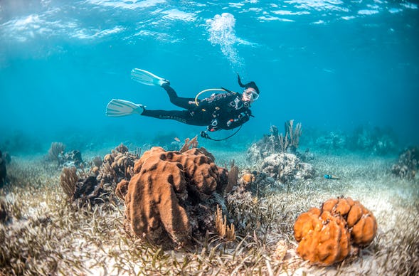 Tauchen mit Nitrox München (Kurs)