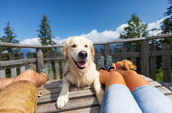 Urlaub mit Hund am Rennsteig für 2 (2 Nächte)