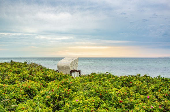 Urlaub mit Hund Fehmarn für 2 (2 Nächte)