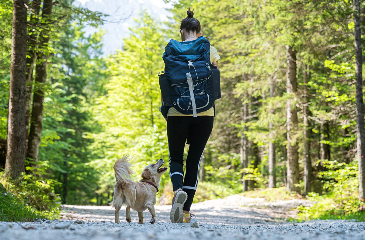 Urlaub mit Hund im Harz für 2 (1 Nacht) - 1