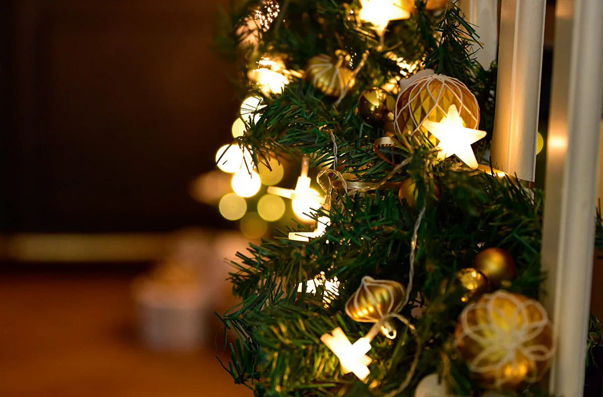 Weihnachtsurlaub Krumstedt für 8 Personen (3 Nächte) - 3