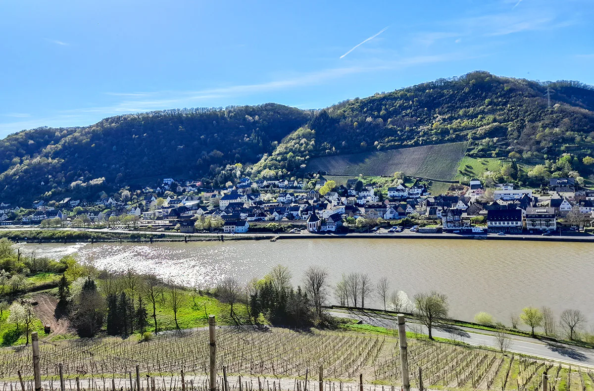 Weinausflug & Schifffahrt auf der Mosel Bullay - 7