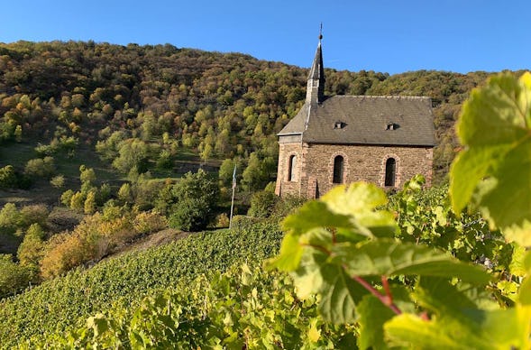 Weinbergwanderung Lorch